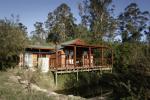 Fern Gully Forest Cabins Fern Gully Forest Cabins