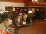 Mashutti Country Lodge Mashutti Country Lodge