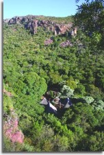 Mashovhela Lodge Mashovhela Lodge